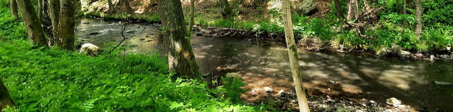 Zážitkové a vzdělávací centrum Horní Mlýn Chotěboř, z.s